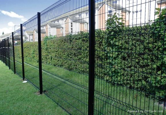 powder coated Security Polyester curvy welded mesh fence 4