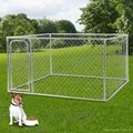 new design galvanized chain link dog kennel large dog fence 3