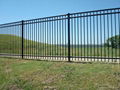 Galvanized or powder coated metal picket fences