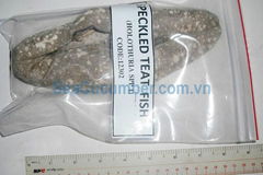 Dried Sea Cucumber