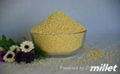 Good Quality Millet with Competitive Price 1