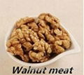Chinese Walnut Meat with Low Price
