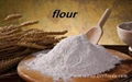 High Quality Wheat Flour
