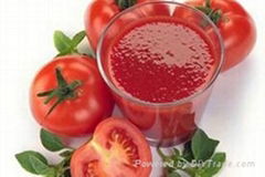 Chinese Tomato Paste Ketchup