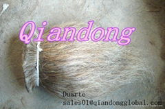 cattle tail hair for sale