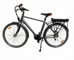 2016 HOT SALE 36v 250w cheap electric bicycle