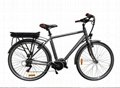 2016 HOT SALE 36v 250w cheap electric bicycle 2