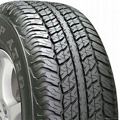 Dunlop Grandtrek AT20 All-Season Tire - 265/70R17 113S