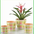 Melamine Plant Pot