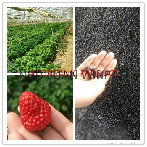 high watersoluble organic fertilizer-potassium humate 85/75/65/55 2