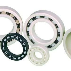 Ceramic Bearing