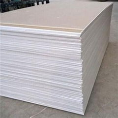 Paper Face Gypsum Board