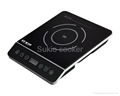 Induction cooker 2