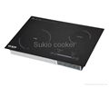 Induction cooker 3
