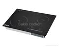 Induction cooker