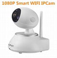 1080P Smart WIFI P2P Camera 1