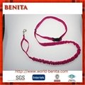 Hands Free Long Bungee Dog Leash Dual Handle for Control and Safety