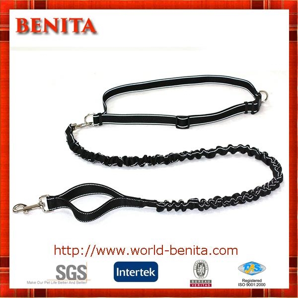 Hands Free Long Bungee Dog Leash Dual Handle for Control and Safety