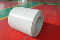 Color Coated Galvalume Steel Coil(0.13mm-0.8mm)