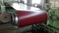 Color Coated Galvanized Steel Coil(0.13mm-0.8mm) 5