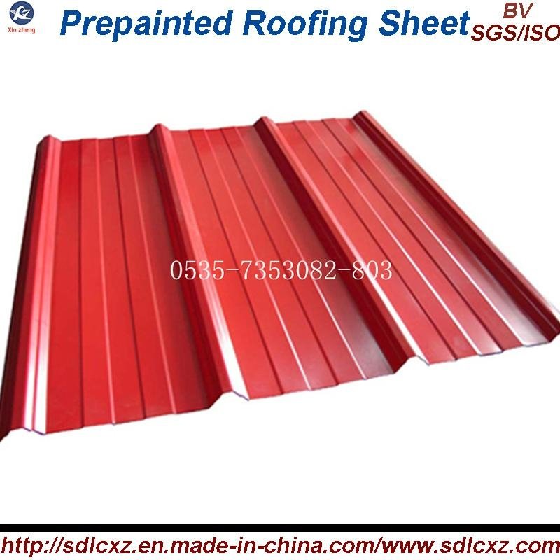 Prepainted Corrugated Steel Sheet and Roofing Sheet 2