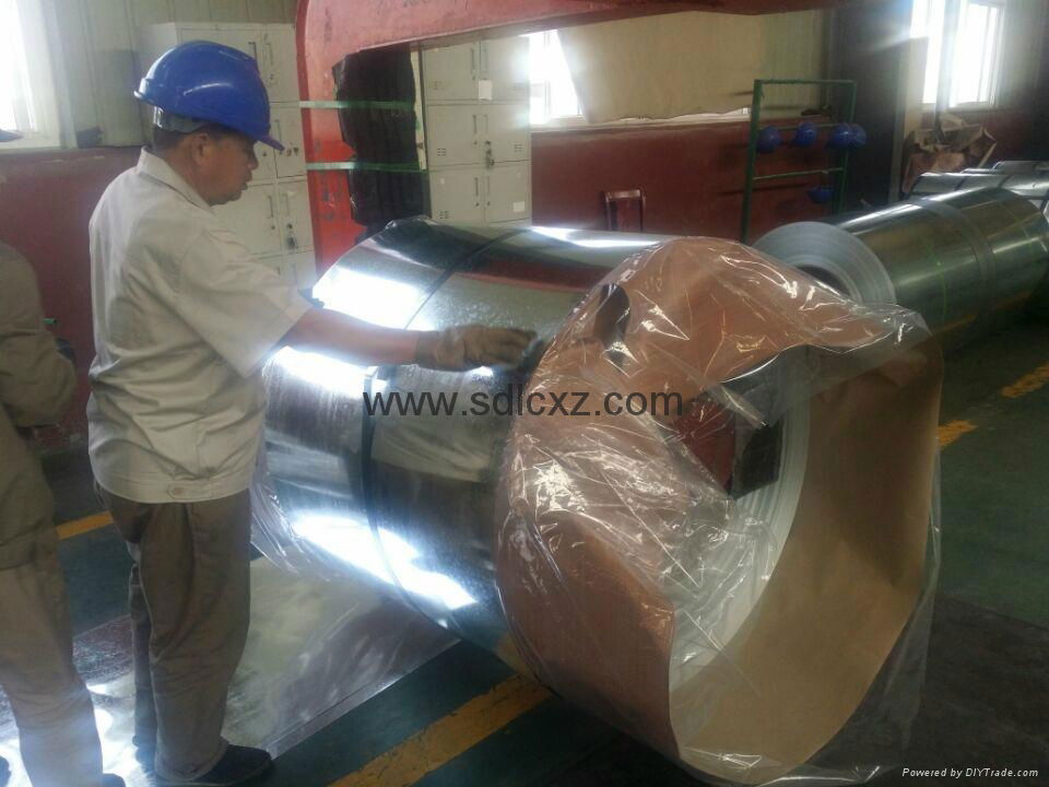 Hot Dipped Galvanized Steel Coil for Building 3