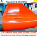 0.32mm PPGI--Color Coated Galvanized Steel Coil 5