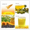 Edible Sunflower Oil 2