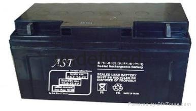 AST蓄电池FM12-100 2