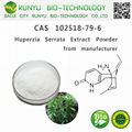 Chinese manufacturer supply 1% huperzine a huperzia serrata extract 