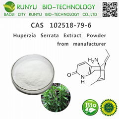 Chinese manufacturer supply 1% huperzine a huperzia serrata extract 