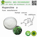 99% huperzine a huperzia serrata extract