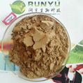Herbal extract 20%UV horse chestnut powder aescin 4