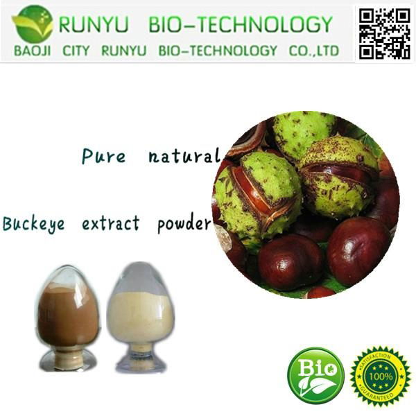 20%HPLC horse chestnut extract powder escin