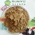 20%HPLC horse chestnut extract powder escin 3