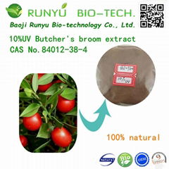 10%UV Ruscus aculeatus Butcher's Broom Root Extract Powder