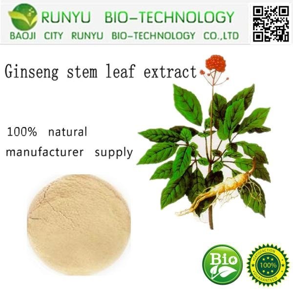 Ginseng extract 80% 2