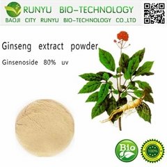 Panax ginseng extract 