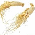 Factory supply ginseng extract ginsenoside 2