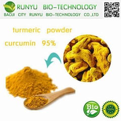 Curcumin  turmeric root extract powder