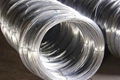 Galvanized Iron Wire 1