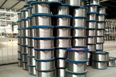 Stainless Steel Wire