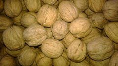 walnuts for sale