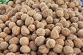 Shelled walnuts