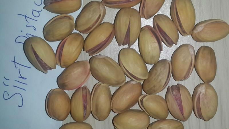 Pistachio nuts for sale 2