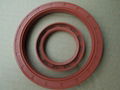 Rubber Seal 1