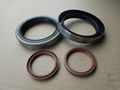 Oil Seal