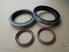 Oil Seal