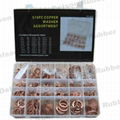 Copper Washer Kit