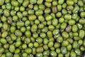 Mung beans